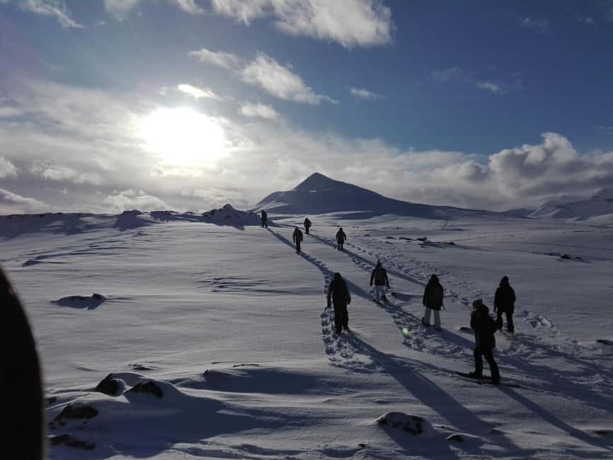 Akureyri: Snowshoeing with The Traveling Viking - Kjarnaskógur Forestwalk: Views, Photo Stops, and a Real Winter Ridge