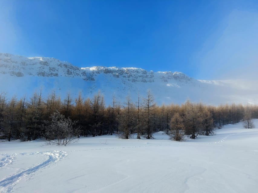 Akureyri: Snowshoeing with The Traveling Viking - Snowshoe Lessons and Guide Support You Can Rely On