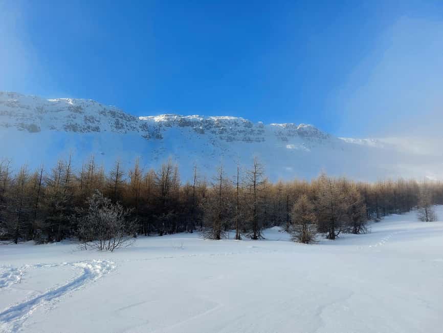 Akureyri: Snowshoeing with The Traveling Viking - Hot Chocolate and Biscuits: The Warm Reset in the Middle