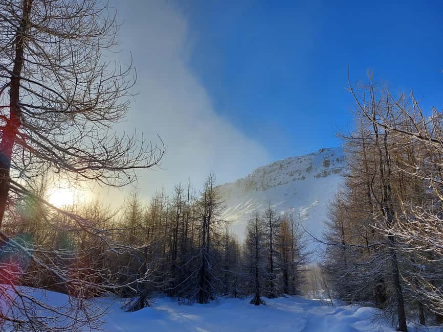 Akureyri: Snowshoeing with The Traveling Viking - What’s Included, and What You Should Bring