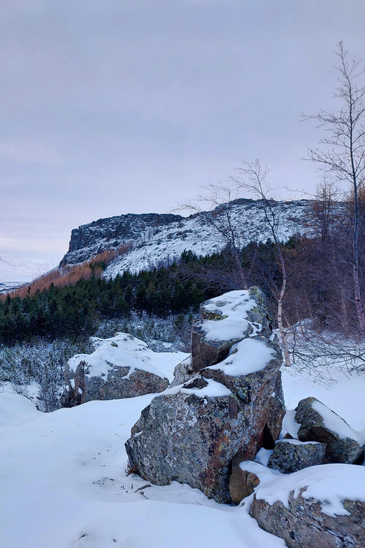 Akureyri: Snowshoeing with The Traveling Viking - Price and Value: Is $165 for 3 Hours Fair?