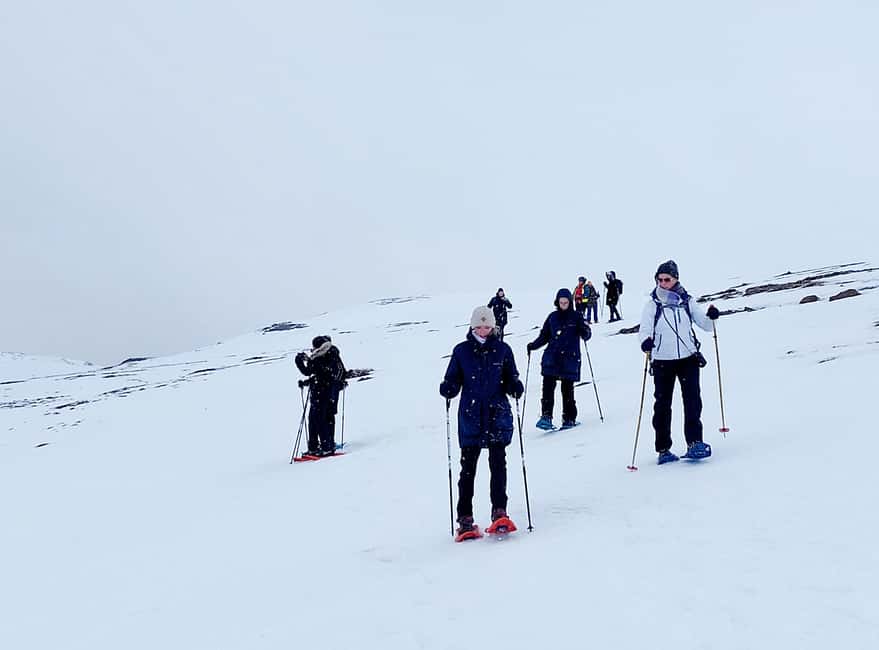 Akureyri: Snowshoeing with The Traveling Viking - Who This Tour Fits Best (and Who Might Want Another Option)