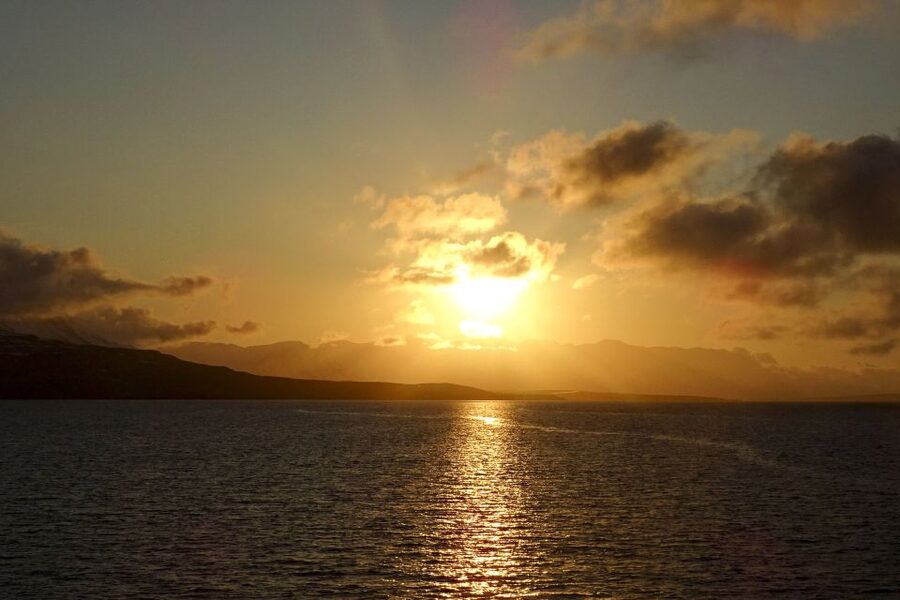 Akureyri: Whale Watching in the Midnight Sun - Who should book, and who should think twice