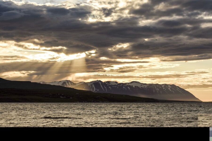 Akureyri: Whale Watching in the Midnight Sun - Price and value: is $101 per person worth it?