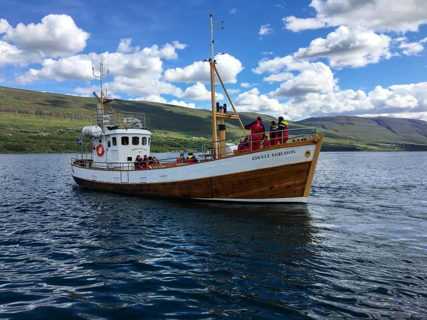Akureyri: Whale Watching Tour with Transfer from Port - Key Points to Know Before You Go