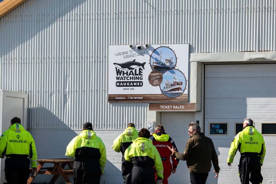 Akureyri: Whale Watching Tour with Transfer from Port - Photography and Seasickness Reality Check