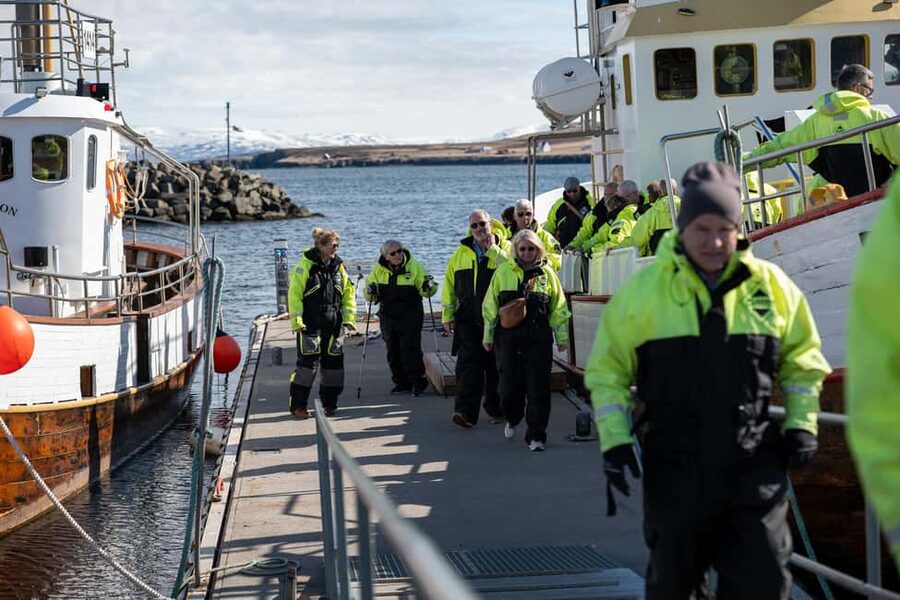 Akureyri: Whale Watching Tour with Transfer from Port - Price and Value: Is $141 Worth It?