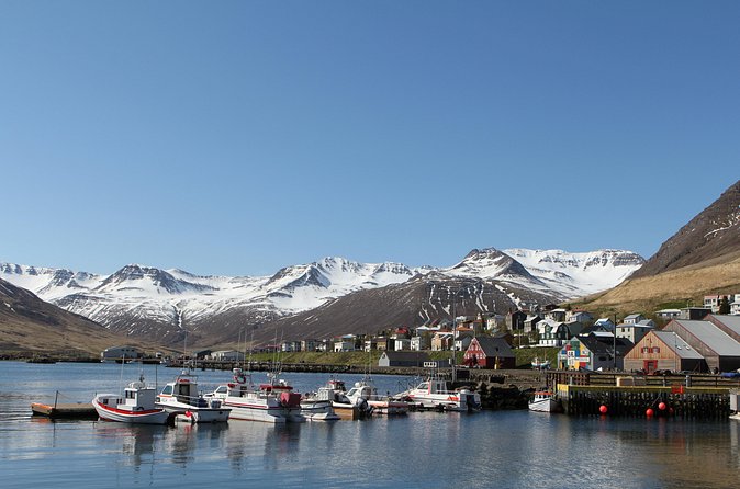 Arctic Coastline and Siglufjörður Tour - Herring Era Museum: Where the Coastal Scenery Gets Context