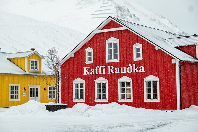 Arctic Coastline and Siglufjörður Tour - Dalvik: Another Fishing Village, Another Viewpoint Feeling