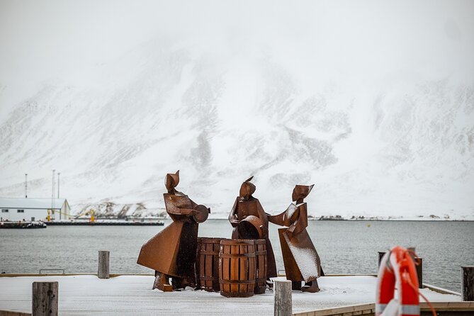 Arctic Coastline and Siglufjörður Tour - Price and Value: Is $254.07 Worth It for a 5-Hour Day?