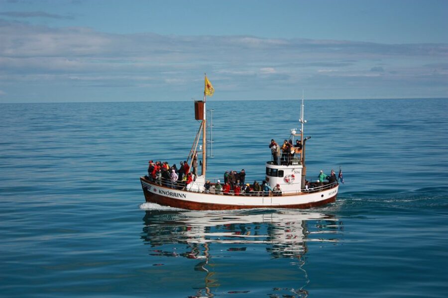 Árskógssandur: Whale-Watching Boat Trip - When to go: choosing the day that improves your odds