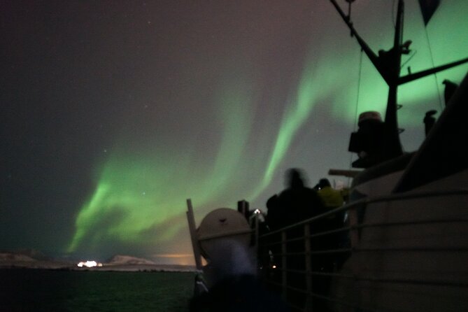 Aurora by Boat Reykjavik Adventure - Price, timing, and why this feels good value
