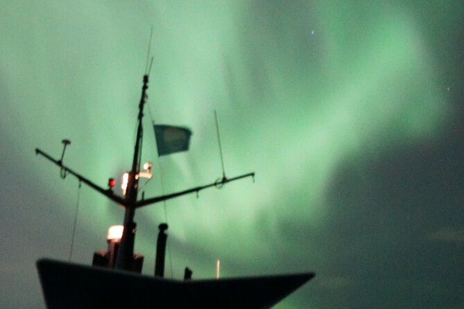 Aurora by Boat Reykjavik Adventure - Group size and what it means for your night view