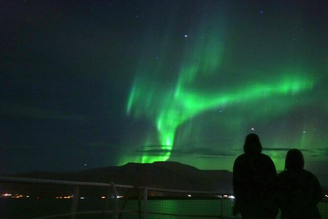 Aurora by Boat Reykjavik Adventure - Should you book Aurora by Boat Reykjavik Adventure?