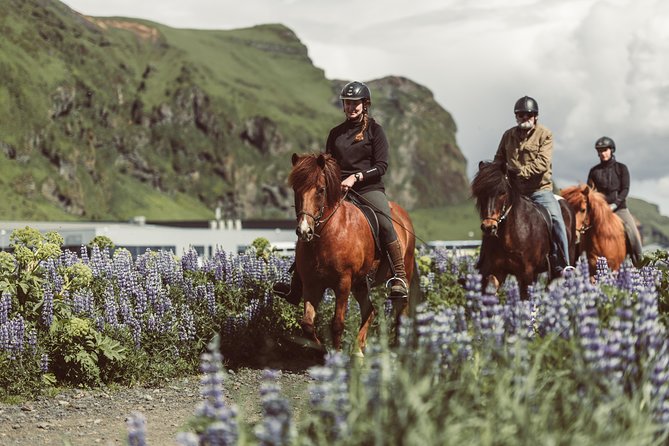Black Sand Beach Horse Riding Tour from Vik - Key highlights worth planning for