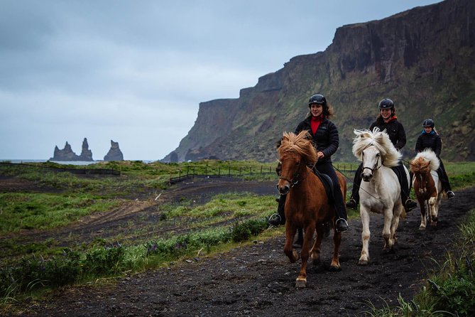 Black Sand Beach Horse Riding Tour from Vik - Meeting the horses and the guides, including Yohanna