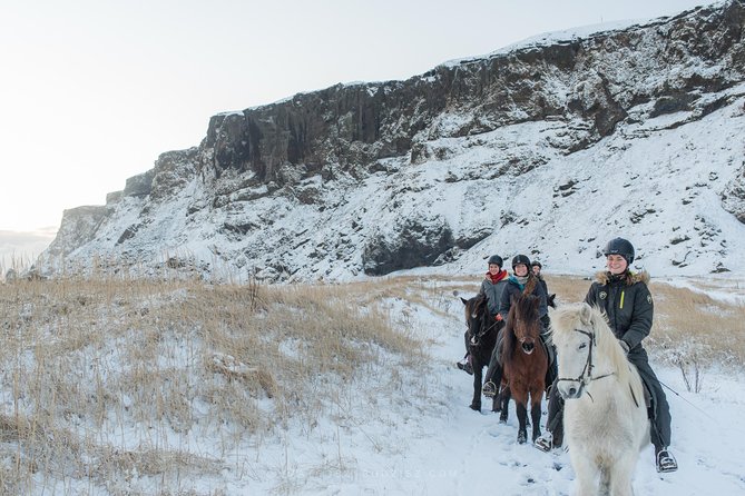 Black Sand Beach Horse Riding Tour from Vik - Weather and wind: when the beach ride changes