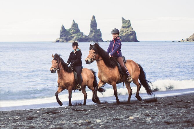 Black Sand Beach Horse Riding Tour from Vik - Price and value: is $133.02 worth it?