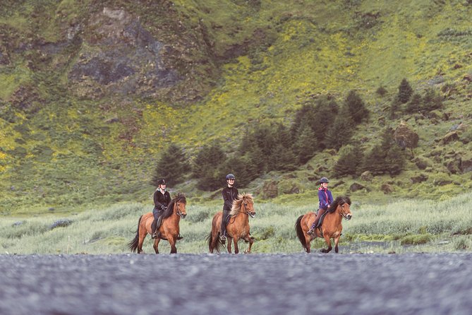 Black Sand Beach Horse Riding Tour from Vik - What to wear and bring for a comfy black sand ride