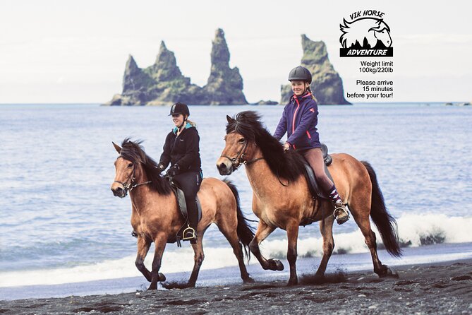 Black Sand Beach Horse Riding Tour from Vik - From Vik Horse Adventure to Víkurfjara: how the 1-hour ride works