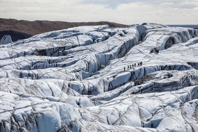 Blue Ice Discovery – Guided Glacier Hike from Skaftafell - Walking Falljökull: crevasses, ice arches, glacier mills, and ice sculptures