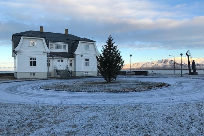 Blue Lagoon & Reykjavík Sightseeing - PRIVATE TOUR - Reykjavik Quick Hits: Hallgrímskirkja, Sun Voyager, and Harpa