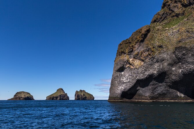 Boat Tour in Vestmannaeyjar - Puffins and seabirds: what you can expect from the waterline