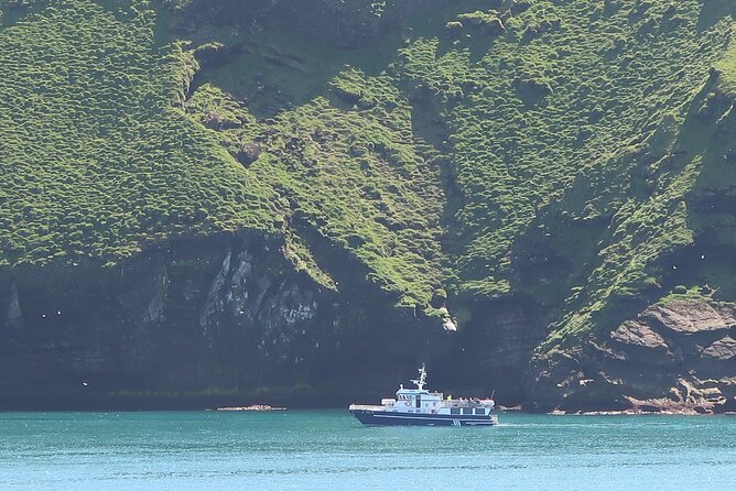 Boat Tour in Vestmannaeyjar - Weather, safety, and why the lifejacket is not just paperwork