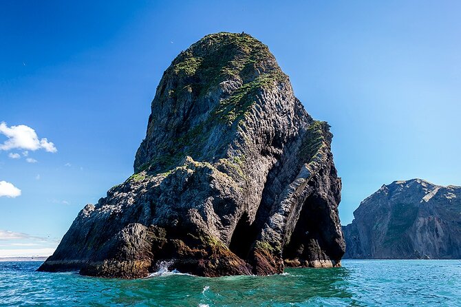 Boat Tour in Vestmannaeyjar - The cruise around Heimaey: eruption, new lava, and real context