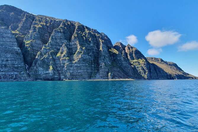 Boat Tours from Siglufjörður - Key highlights worth planning for