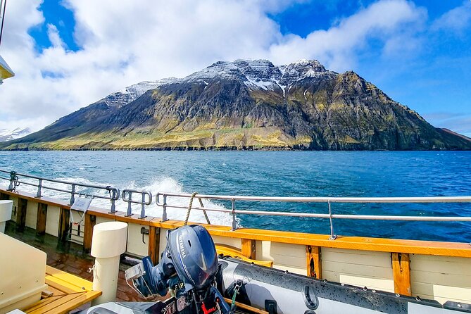 Boat Tours from Siglufjörður - Why Siglufjörður from the water is the real deal