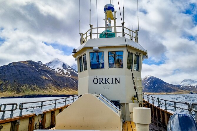 Boat Tours from Siglufjörður - The first fjord segment: Selvíkurviti lighthouse, Siglunes, and Strákagöng tunnel