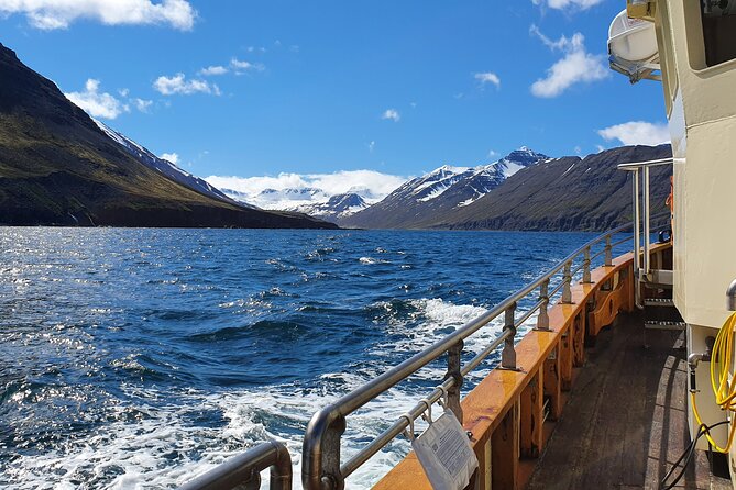 Boat Tours from Siglufjörður - Sea angling for cod, fishing time, and the food truth