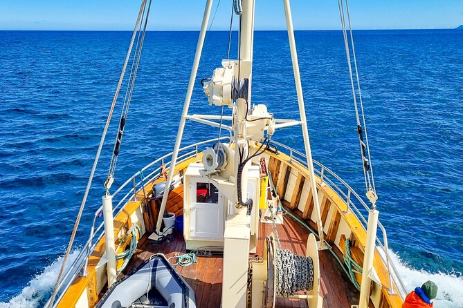 Boat Tours from Siglufjörður - Starting at Aðalgata 34 at 10:00: how the timing works
