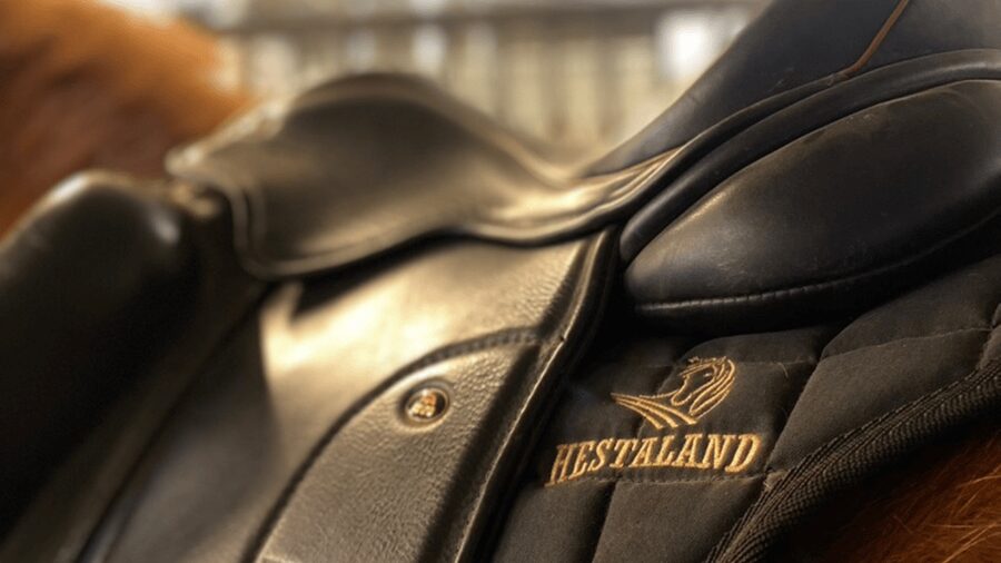 Borgarnes: Horseback Riding Tour with Prep Lesson - Key highlights you’ll feel right away