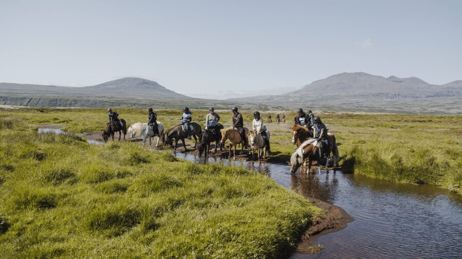 Borgarnes: Horseback Riding Tour with Prep Lesson - Getting set up at Hestaland, about 15 minutes from Borgarnes