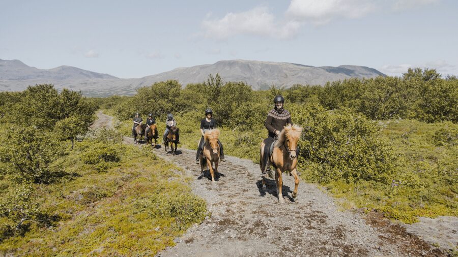 Borgarnes: Horseback Riding Tour with Prep Lesson - Your prep lesson in the indoor arena: where confidence is built