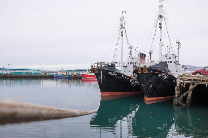 City Sightseeing Reykjavik Hop-On Hop-Off Bus Tour: 24 or 48-Hour - The route in real-world order: what you’ll see at each stop