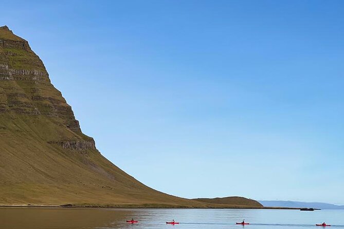 Classic Kayaking Adventure by Mt. Kirkjufell - Wildlife spotting: seals, puffins, and calm moments