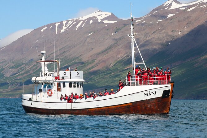 Classic Whale Watching from Dalvík Near Akureyri - Timing, duration, and how to plan your day around it