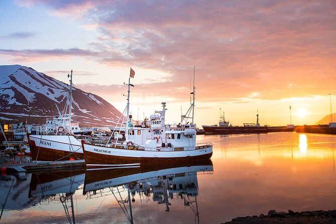 Classic Whale Watching from Dalvík Near Akureyri - The heart of the trip: about 2 hours in Eyjafjörður