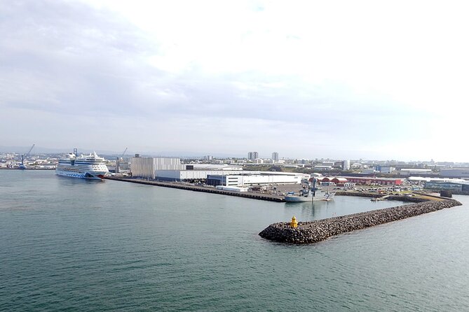 Cruise Port Transfer : Reykjavik to Cruise Port - Key Highlights You’ll Actually Feel