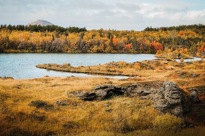 Cruise Tour Godafoss and Myvatn Lake and Baths Small Group - Key Highlights You’ll Actually Care About