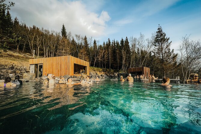 Cruise Tour Godafoss Turf Houses and Forest Baths Small Group - Price and Value: What Makes It Worth Around $181