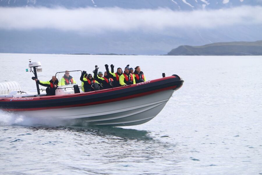 Dalvík: Whale Watching Speedboat Tour - Key things that make Dalvík RIB whale watching worth your time