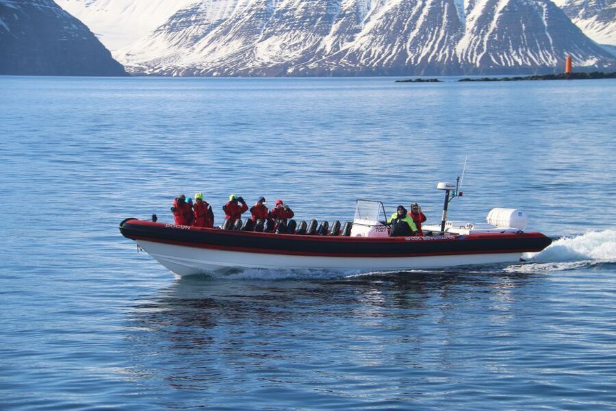 Dalvík: Whale Watching Speedboat Tour - Who should book this Dalvík RIB whale watching?