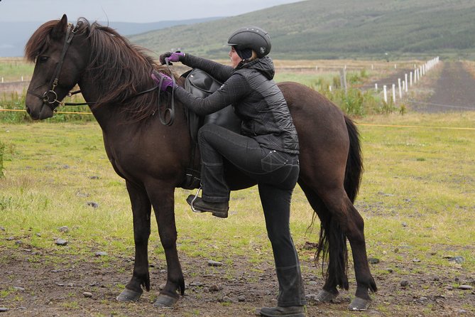 Deacon Horse Riding Tour - Key things that make this Deacon Horse Riding Tour worth your time