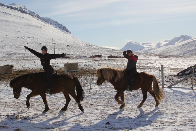 Deacon Horse Riding Tour - Why riding from Ytri Bægisá feels different than a city activity