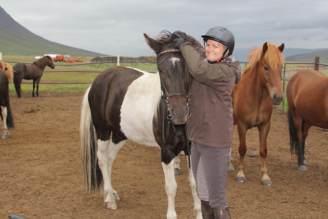 Deacon Horse Riding Tour - Price and value: what $160.57 buys you in real terms