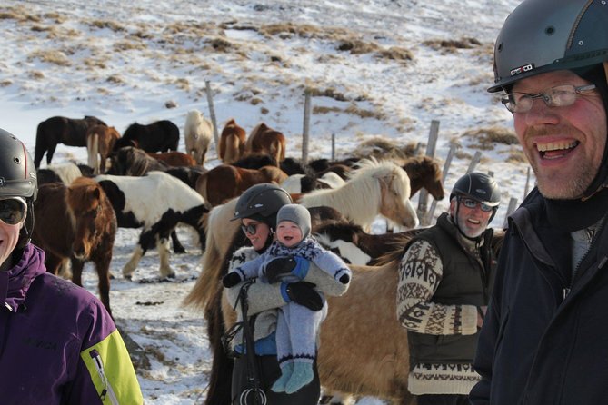 Deacon Horse Riding Tour - Meeting and getting matched: what you should plan for at the farm